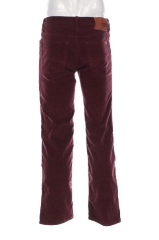 Herren Cordhose Mustang, Größe M, Farbe Lila, Preis € 24,55