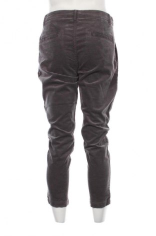 Herren Cordhose Nils Sundstrom, Größe M, Farbe Grau, Preis € 20,99