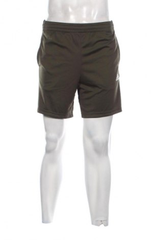 Herren Shorts Adidas, Größe S, Farbe Grün, Preis € 17,39