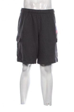 Herren Shorts Nike, Größe L, Farbe Grau, Preis € 53,99
