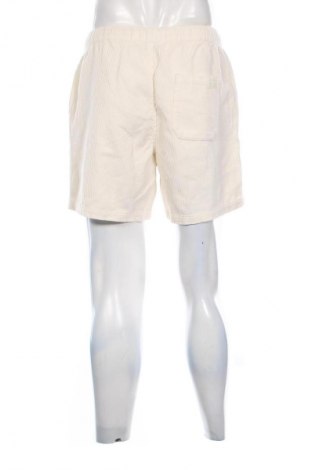 Herren Shorts Shiwi, Größe M, Farbe Ecru, Preis € 21,99