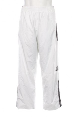 Herrenhose Adidas, Größe L, Farbe Mehrfarbig, Preis € 38,99