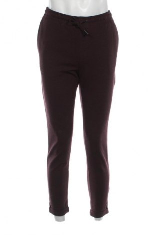 Herrenhose Zara, Größe S, Farbe Mehrfarbig, Preis € 18,99