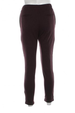 Herrenhose Zara, Größe S, Farbe Mehrfarbig, Preis € 18,99