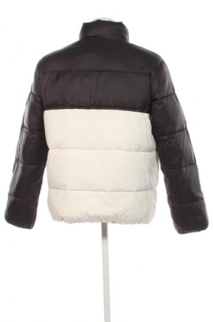 Herrenjacke Calvin Klein Jeans, Größe XL, Farbe Mehrfarbig, Preis € 94,99