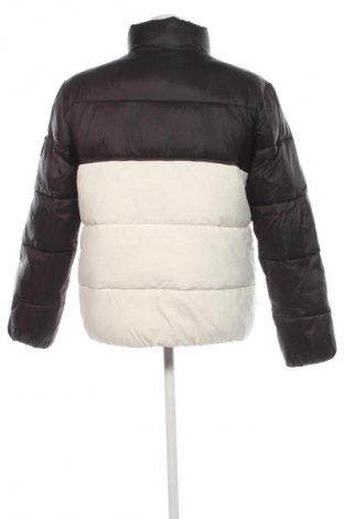 Herrenjacke Calvin Klein Jeans, Größe L, Farbe Mehrfarbig, Preis 269,99 €