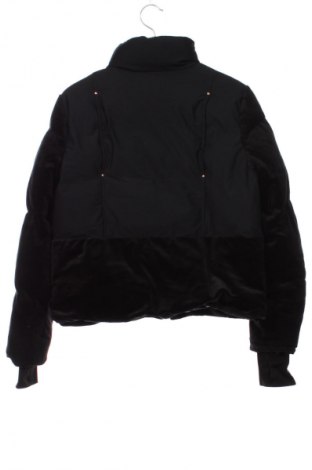Herrenjacke Moose Knuckles, Größe XS, Farbe Schwarz, Preis € 187,99