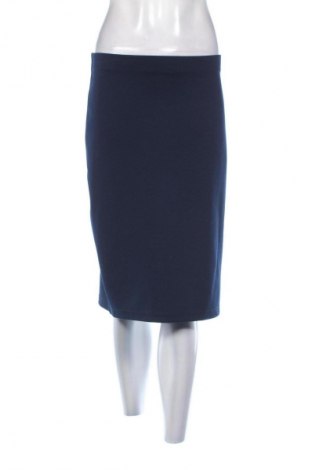 Rock Dorothy Perkins, Größe XL, Farbe Blau, Preis € 16,37