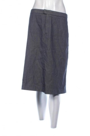 Rock Filippa K, Größe M, Farbe Blau, Preis € 189,51