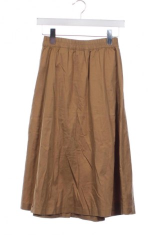 Rock H&M, Größe XS, Farbe Braun, Preis 11,86 €