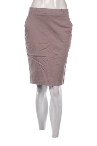 Rock H&M, Größe S, Farbe Aschrosa, Preis € 10,00