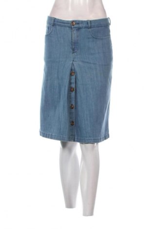 Rock Massimo Dutti, Größe S, Farbe Blau, Preis 28,13 €