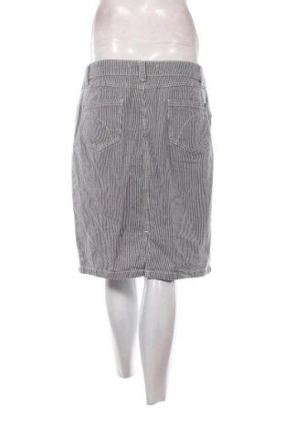 Sukňa Target, Veľkosť XXL, Farba Viacfarebná, Cena  10,00 €