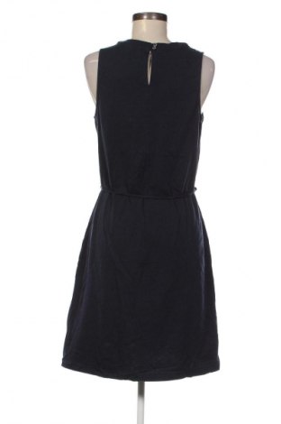 Kleid 17 & Co., Größe XL, Farbe Blau, Preis € 17,99