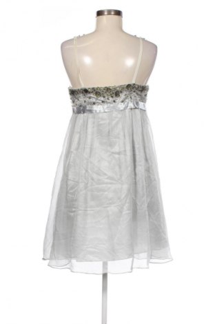 Kleid Barbara Schwarzer, Größe M, Farbe Grau, Preis € 25,99