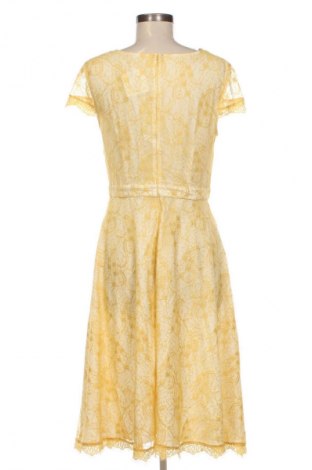 Kleid Bruce Field, Größe M, Farbe Mehrfarbig, Preis € 43,99
