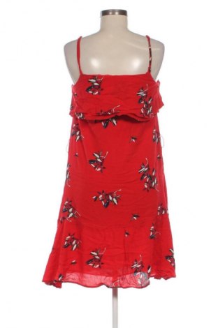 Kleid Caroline Biss, Größe S, Farbe Mehrfarbig, Preis € 26,99