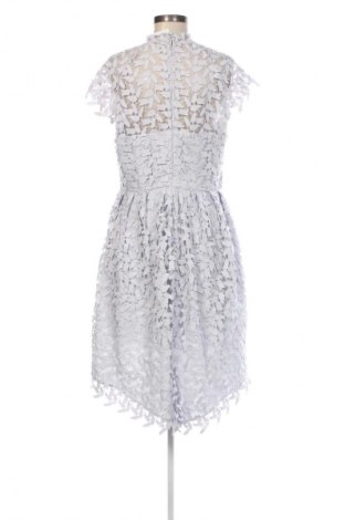 Kleid Chi Chi, Größe L, Farbe Mehrfarbig, Preis € 9,99