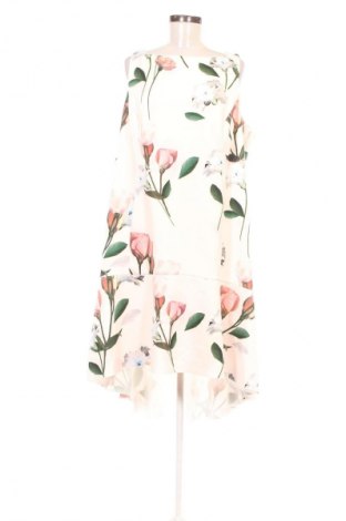 Kleid Coast, Größe XXL, Farbe Mehrfarbig, Preis € 95,65