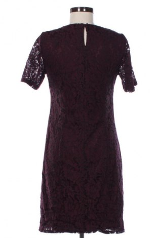 Rochie Dorothy Perkins, Mărime S, Culoare Multicolor, Preț 71,05 Lei