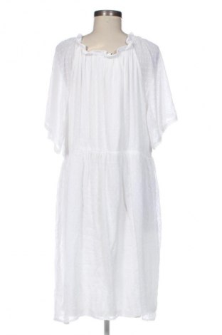 Kleid Gina Benotti, Größe XL, Farbe Mehrfarbig, Preis € 22,99