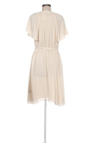 Kleid H&M, Größe L, Farbe Ecru, Preis 15,00 €