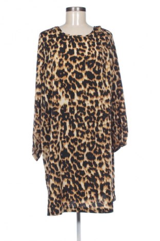 Kleid JD Williams, Größe XL, Farbe Mehrfarbig, Preis 14,91 €