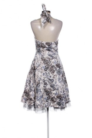 Kleid Joe Browns, Größe M, Farbe Mehrfarbig, Preis € 31,72