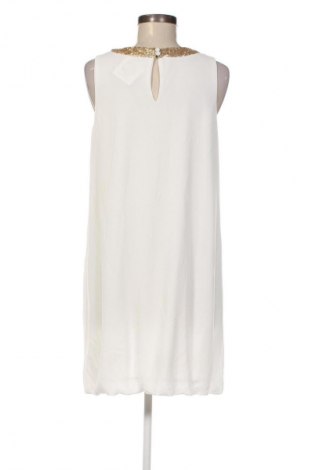Kleid Laura Torelli, Größe S, Farbe Mehrfarbig, Preis € 12,99