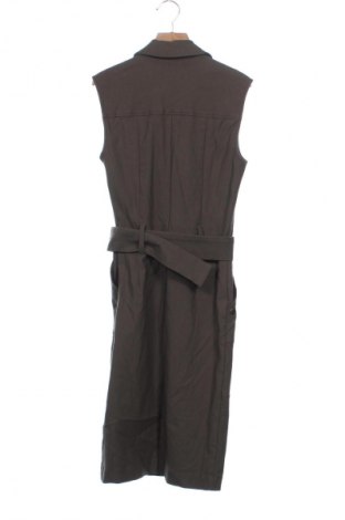 Kleid Le Chateau, Größe XXS, Farbe Grün, Preis 42,00 €