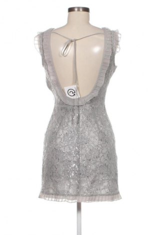 Kleid Lipsy London, Größe S, Farbe Grau, Preis € 16,62