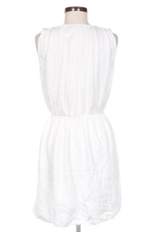 Kleid Massimo Dutti, Größe M, Farbe Weiß, Preis € 42,92