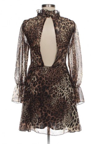 Kleid Missguided, Größe XS, Farbe Mehrfarbig, Preis € 20,99