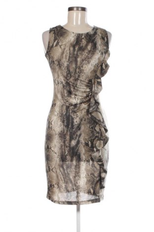 Kleid Morgan, Größe S, Farbe Mehrfarbig, Preis € 25,99