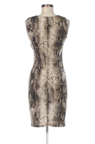 Kleid Morgan, Größe S, Farbe Mehrfarbig, Preis € 25,99
