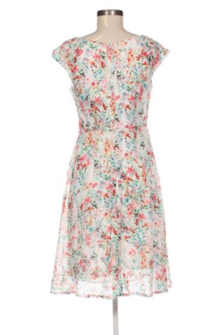 Kleid Orsay, Größe L, Farbe Mehrfarbig, Preis € 23,99