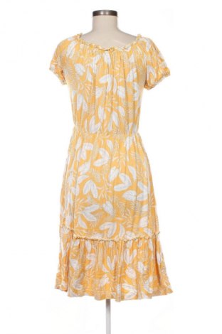 Φόρεμα Peacocks, Μέγεθος M, Χρώμα Πολύχρωμο, Τιμή 15,99 €