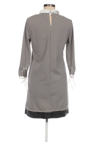 Kleid Primark, Größe M, Farbe Mehrfarbig, Preis 14,91 €