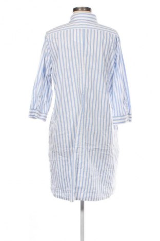 Kleid Seidensticker, Größe XL, Farbe Mehrfarbig, Preis € 33,99