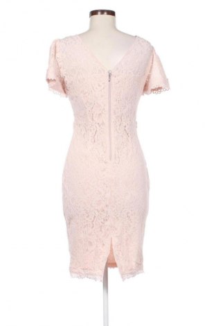 Kleid Showcase By Dorothy Perkins, Größe S, Farbe Rosa, Preis € 30,11