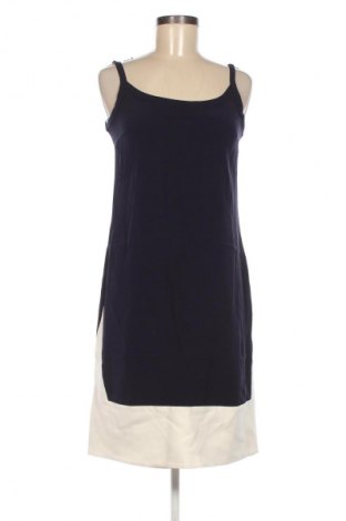 Φόρεμα Ted Baker, Μέγεθος S, Χρώμα Μπλέ, Τιμή 171,77 €