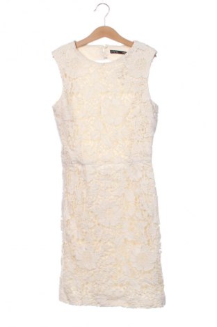 Kleid Zara, Größe XS, Farbe Mehrfarbig, Preis € 13,81