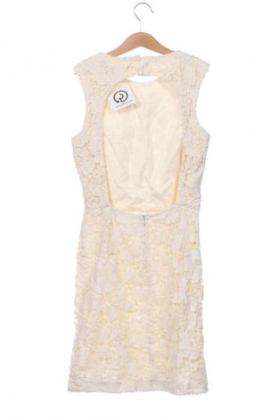 Kleid Zara, Größe XS, Farbe Mehrfarbig, Preis € 13,81