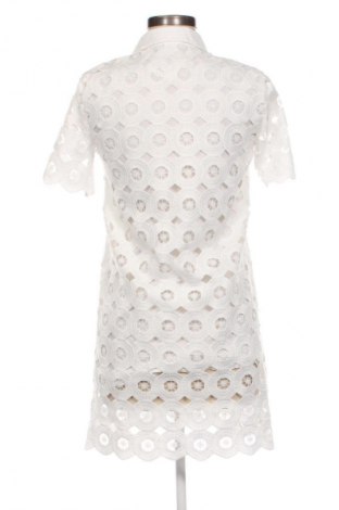 Kleid Zara, Größe XS, Farbe Mehrfarbig, Preis € 18,99