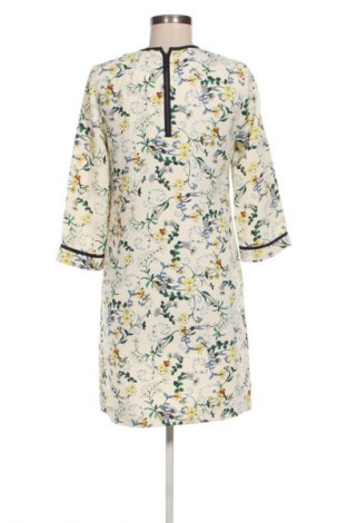 Kleid Zara, Größe M, Farbe Mehrfarbig, Preis € 18,99