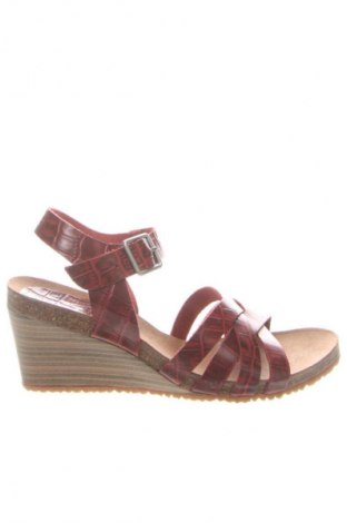 Sandale Kickers, Mărime 39, Culoare Multicolor, Preț 429,99 Lei