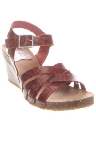 Sandale Kickers, Mărime 39, Culoare Multicolor, Preț 429,99 Lei