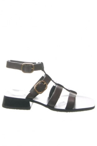 Σανδάλια Massimo Dutti, Μέγεθος 37, Χρώμα Καφέ, Τιμή 65,99 €