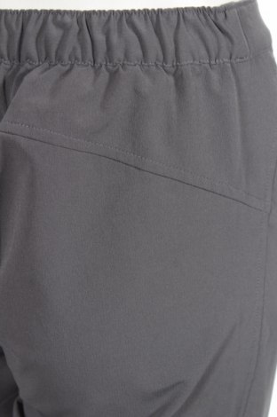 Дамски спортен панталон Crane, Размер S, Цвят Сив, Цена 5,50 лв.