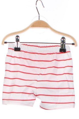 Pantaloni scurți pentru copii Chicco, Mărime 3-6m/ 62-68 cm, Culoare Multicolor, Preț 110,53 Lei